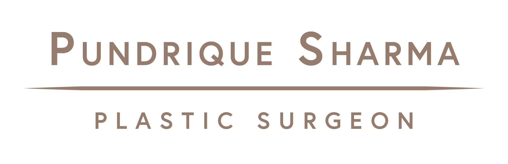 Pundrique Logo (72.jpg)